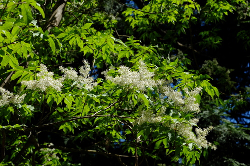 e0304001_2312973.jpg