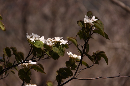 e0304001_2334975.jpg