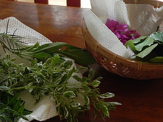 c0152002_1084579.jpg