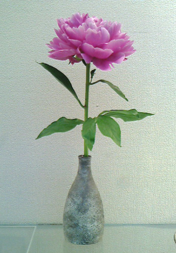 a0043405_0152171.jpg
