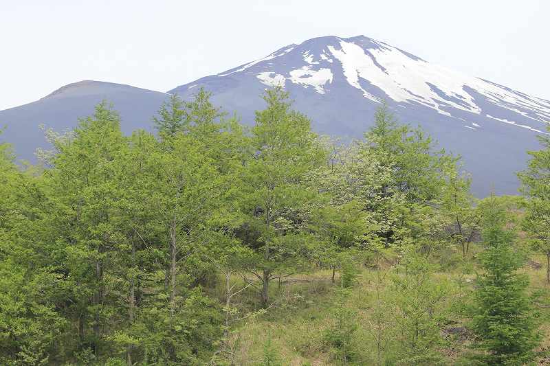 a0188405_22521924.jpg