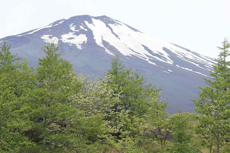 a0188405_22572687.jpg