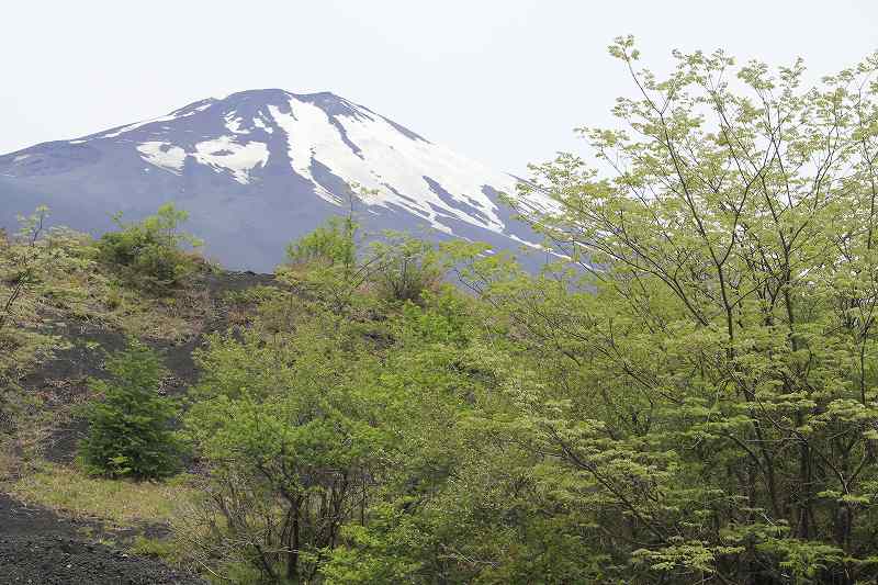 a0188405_225956100.jpg