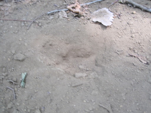 d0001013_16155034.jpg