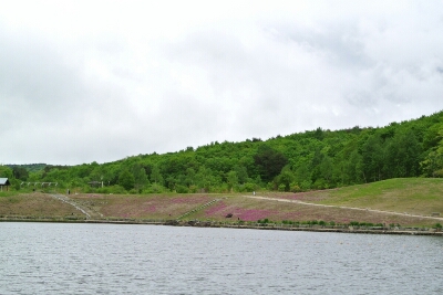 b0236618_1152832.jpg