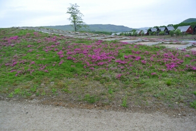 b0236618_11532678.jpg