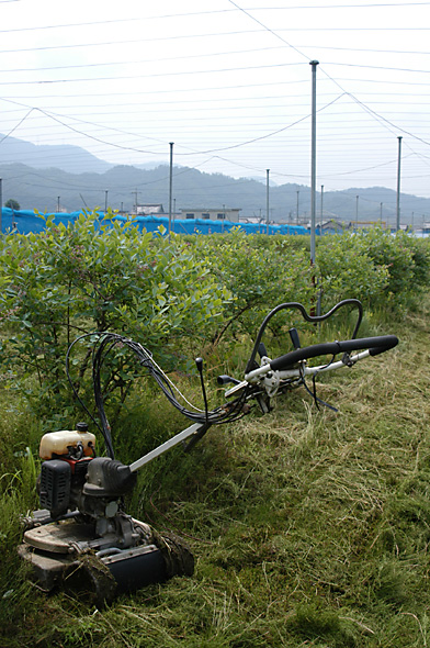 e0186025_141247.jpg