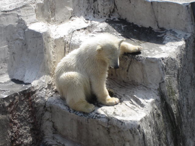e0191826_2310669.jpg