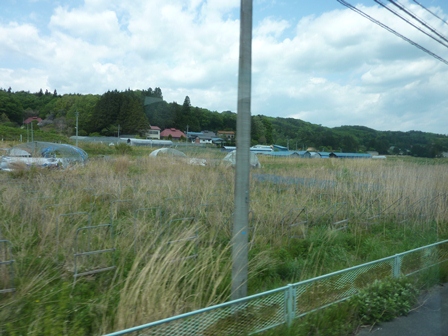 d0153627_1332950.jpg