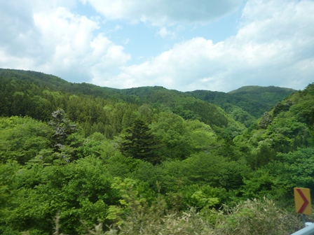 d0153627_1354959.jpg