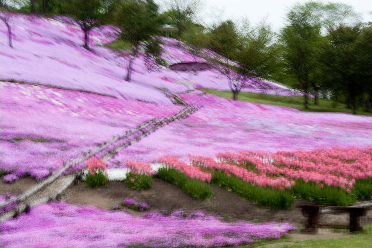 a0245331_14134866.jpg