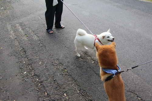 f0245650_8272890.jpg