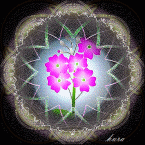 b0133752_22593888.gif