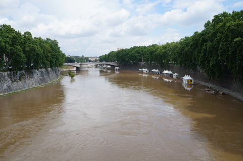 c0206352_41995.jpg