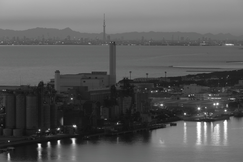 e0229455_13333259.jpg