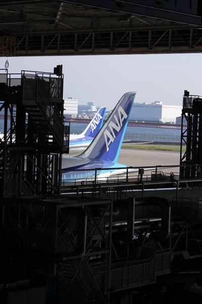 b0138661_17514955.jpg
