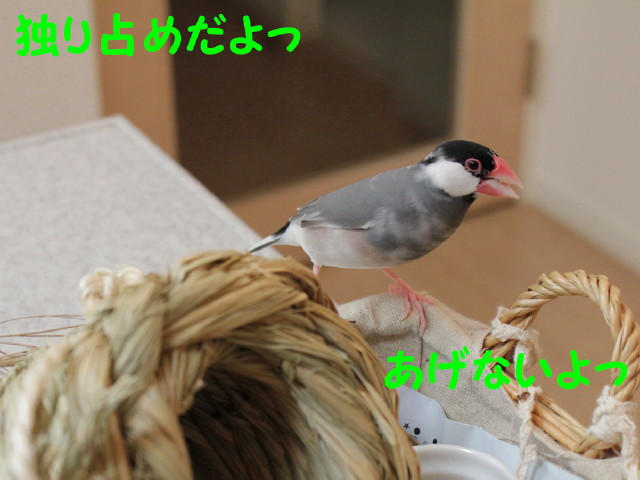 b0158061_2056091.jpg