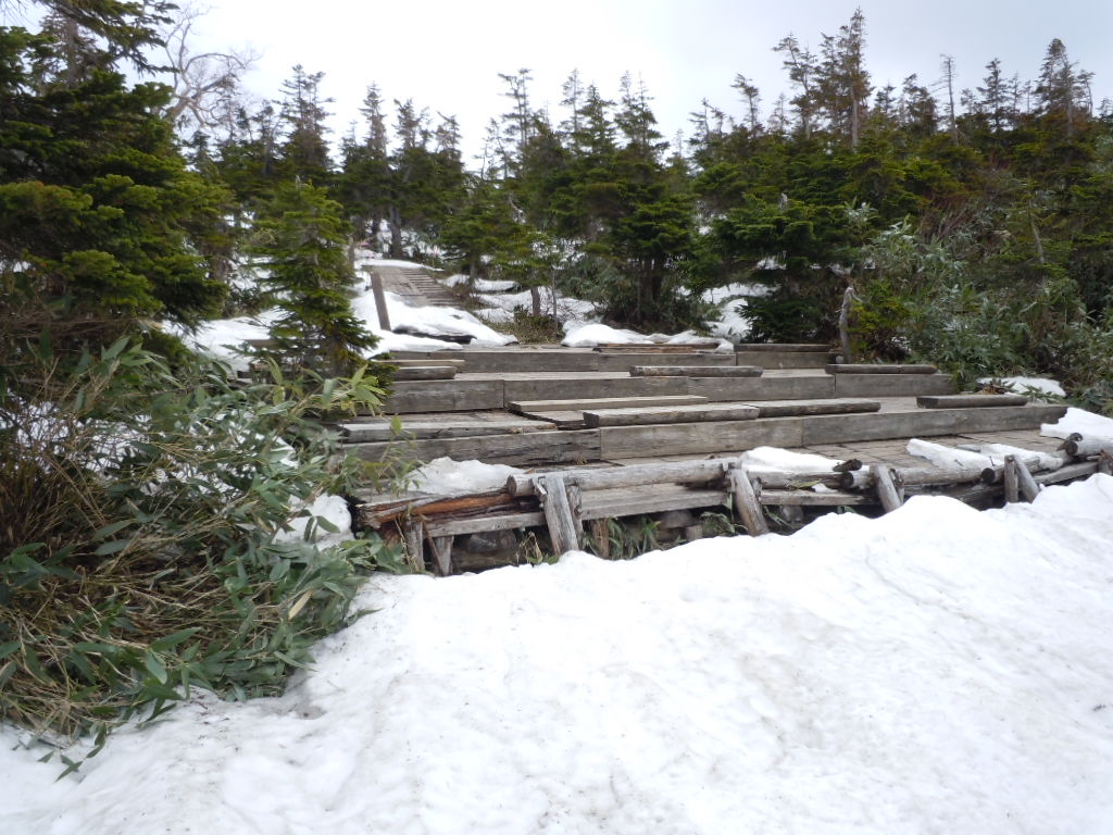 f0145963_20231255.jpg