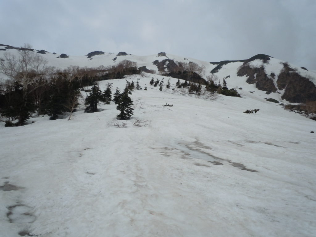 f0145963_20314061.jpg
