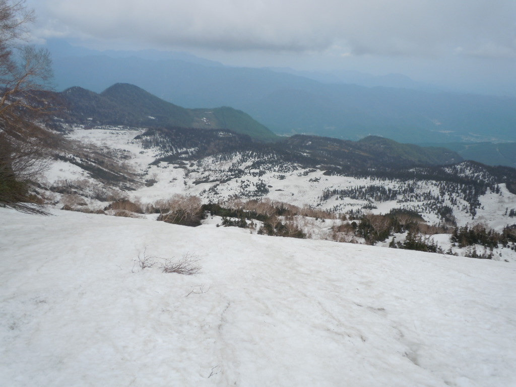 f0145963_20371889.jpg