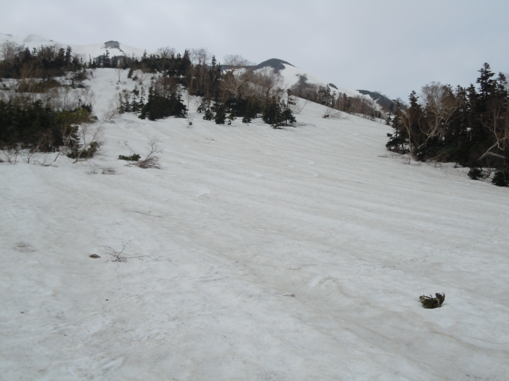 f0145963_20454739.jpg