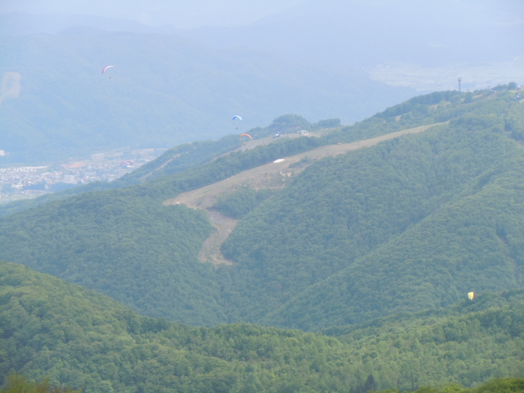 f0145963_20522514.jpg