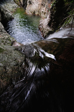 c0303868_18352695.jpg