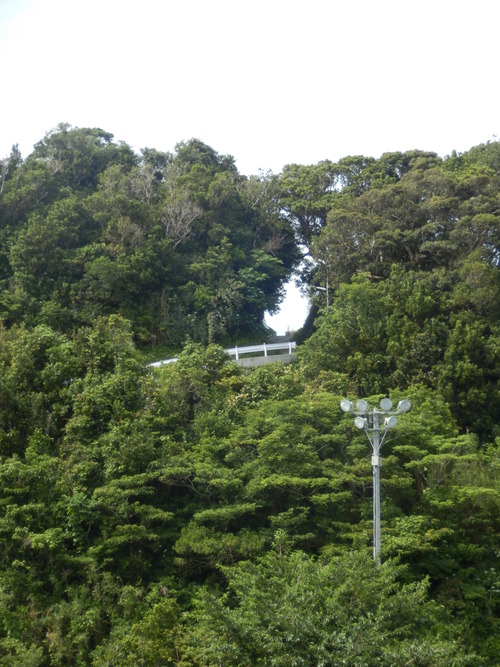 e0292172_20261962.jpg
