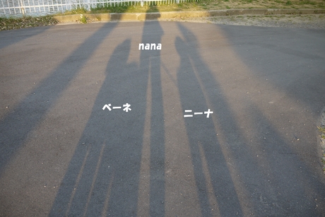 c0283778_18101874.jpg
