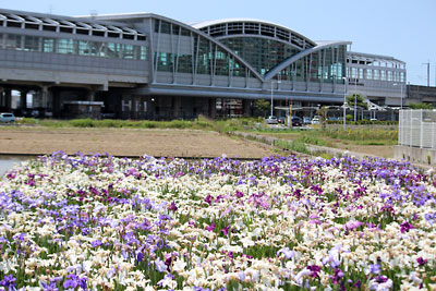 c0152779_18184742.jpg