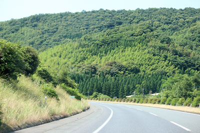 c0152779_1831388.jpg
