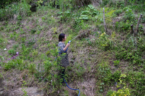 f0215179_22374491.jpg