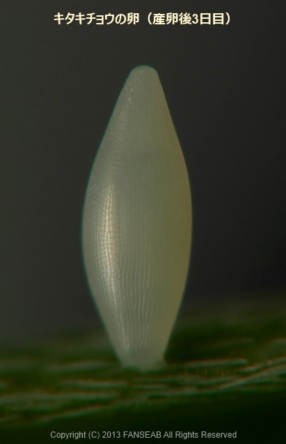 f0090680_2214342.jpg