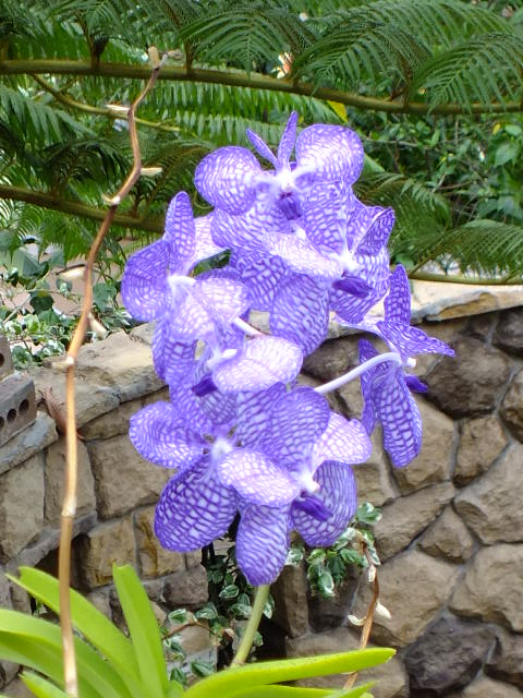 e0145782_20392679.jpg
