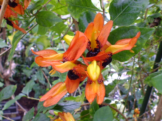 e0145782_2047972.jpg