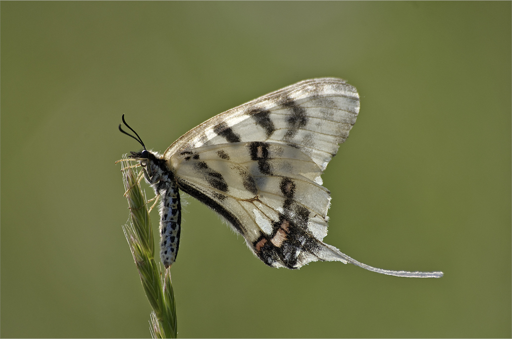 d0209988_20313934.jpg