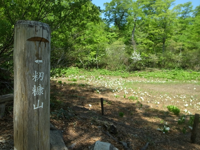 e0271890_13334510.jpg