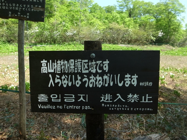 e0271890_13335667.jpg