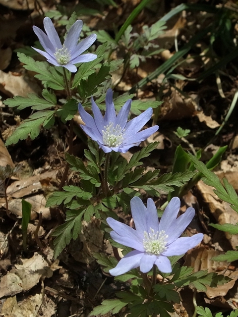 e0271890_14515844.jpg