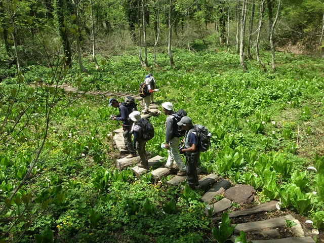 e0271890_1454417.jpg
