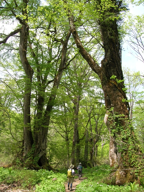 e0271890_15445779.jpg