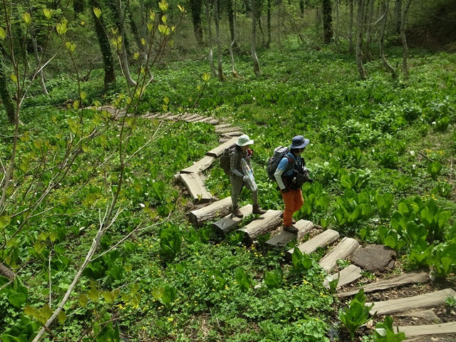 e0271890_17184029.jpg