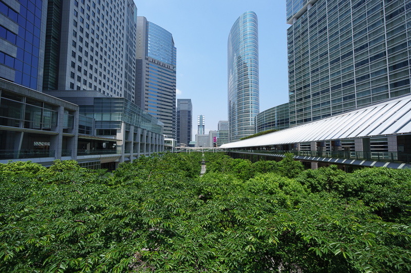 a0185693_6315881.jpg