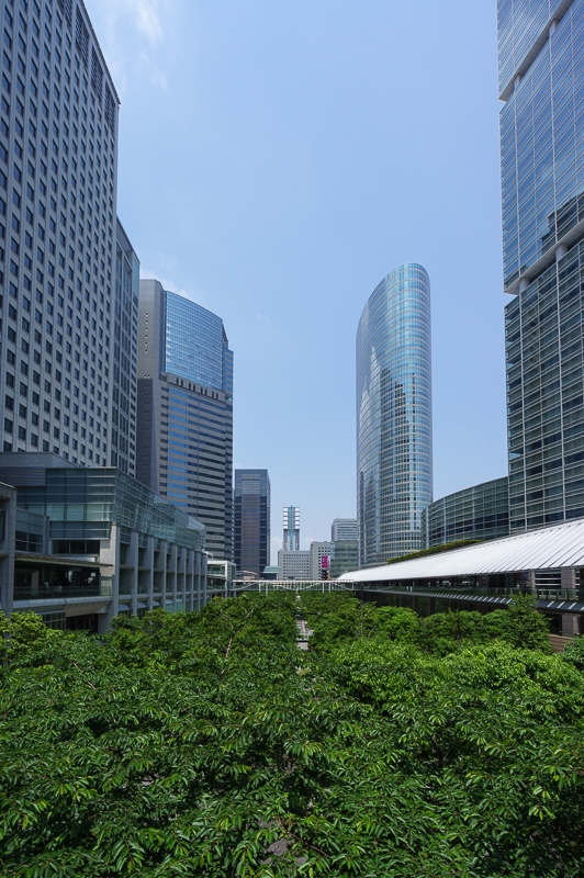 a0185693_632188.jpg