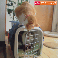 人気ブログランキングへ