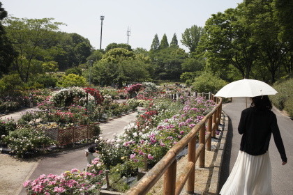 f0103797_17255545.jpg