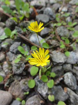 a0061599_7401313.jpg