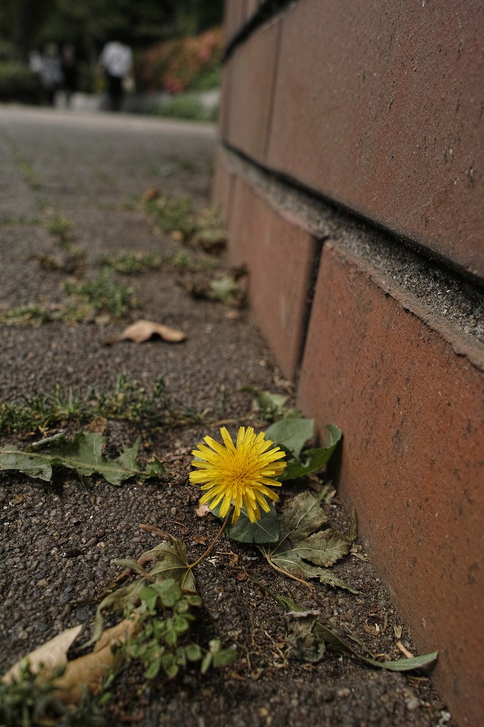 f0224100_2393010.jpg