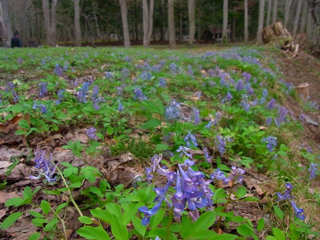 f0157901_17531964.jpg