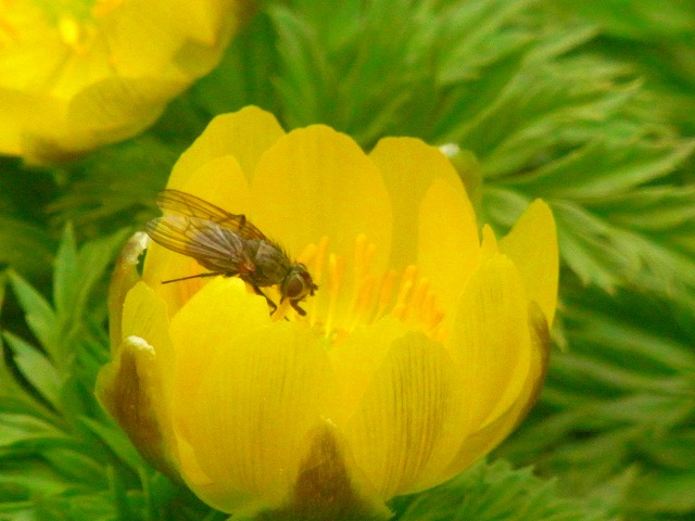 f0157901_17534912.jpg
